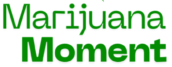 Marijuana Moment Logo