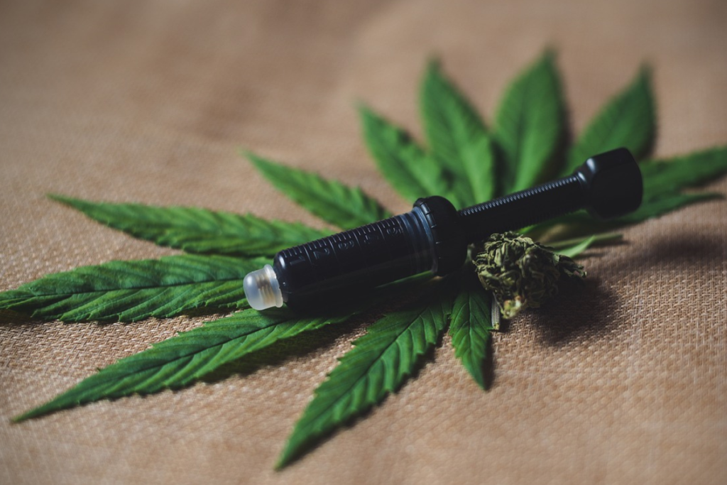 5 Essential Basics About CBD You Should Know