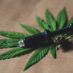 5 Essential Basics About CBD You Should Know