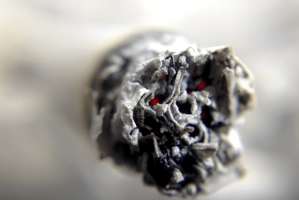 Risks and Safety of Smoking Marijuana